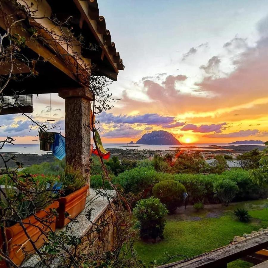 Villa Acchiappasogni Porto San Paolo  Extérieur photo
