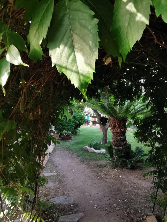 Villa Acchiappasogni Porto San Paolo  Extérieur photo